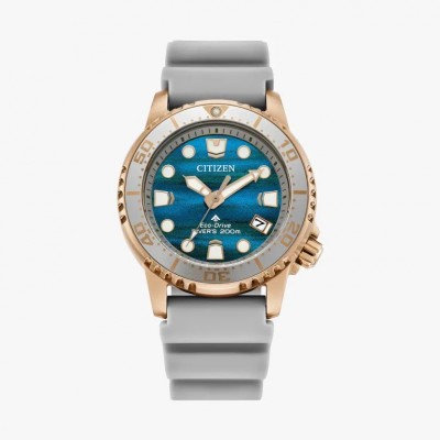 Citizen EO2023-00W Promaster