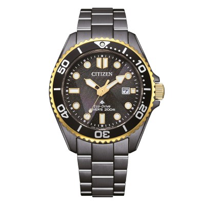 Citizen BN0264-53E